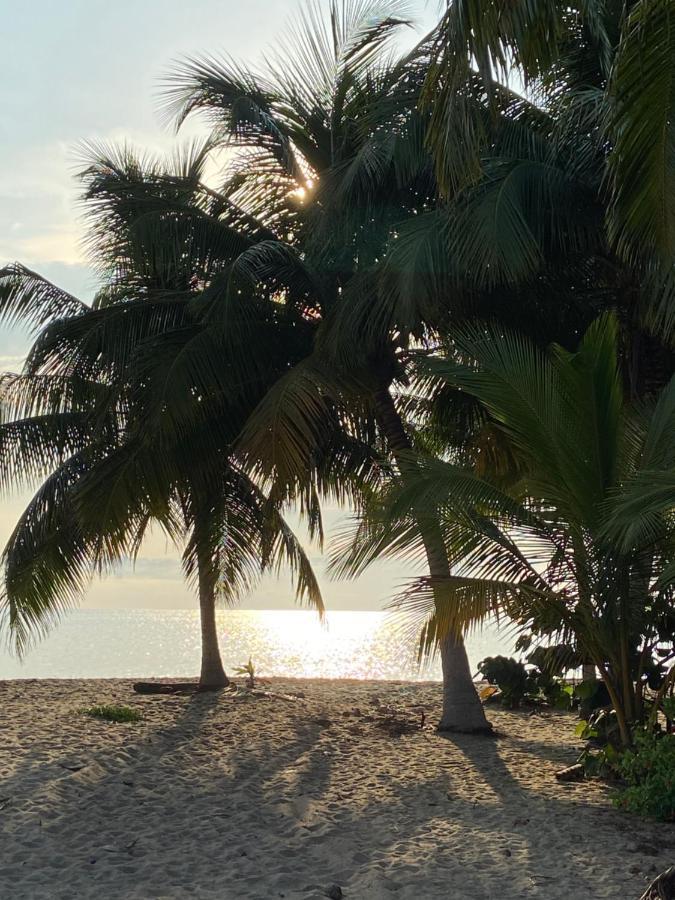 Anda Di Hows Hostel Placencia Ngoại thất bức ảnh