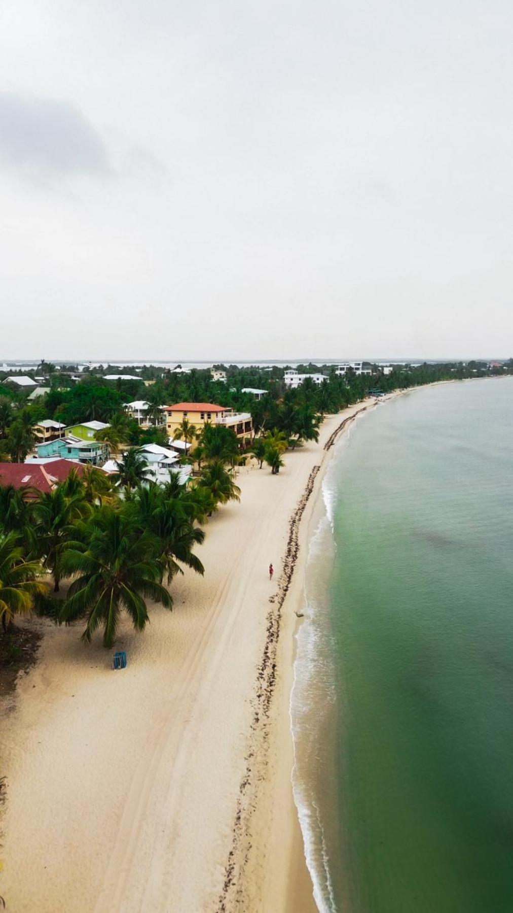 Anda Di Hows Hostel Placencia Ngoại thất bức ảnh