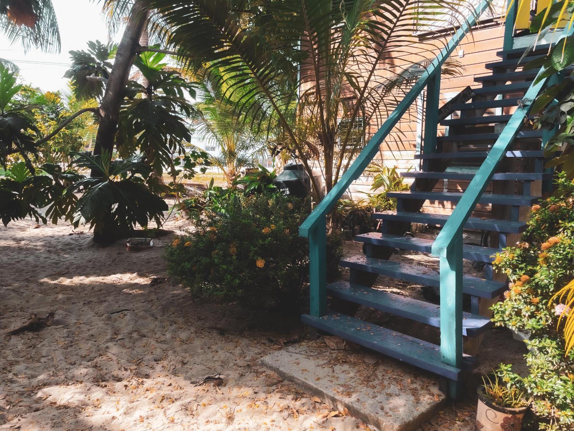 Anda Di Hows Hostel Placencia Ngoại thất bức ảnh