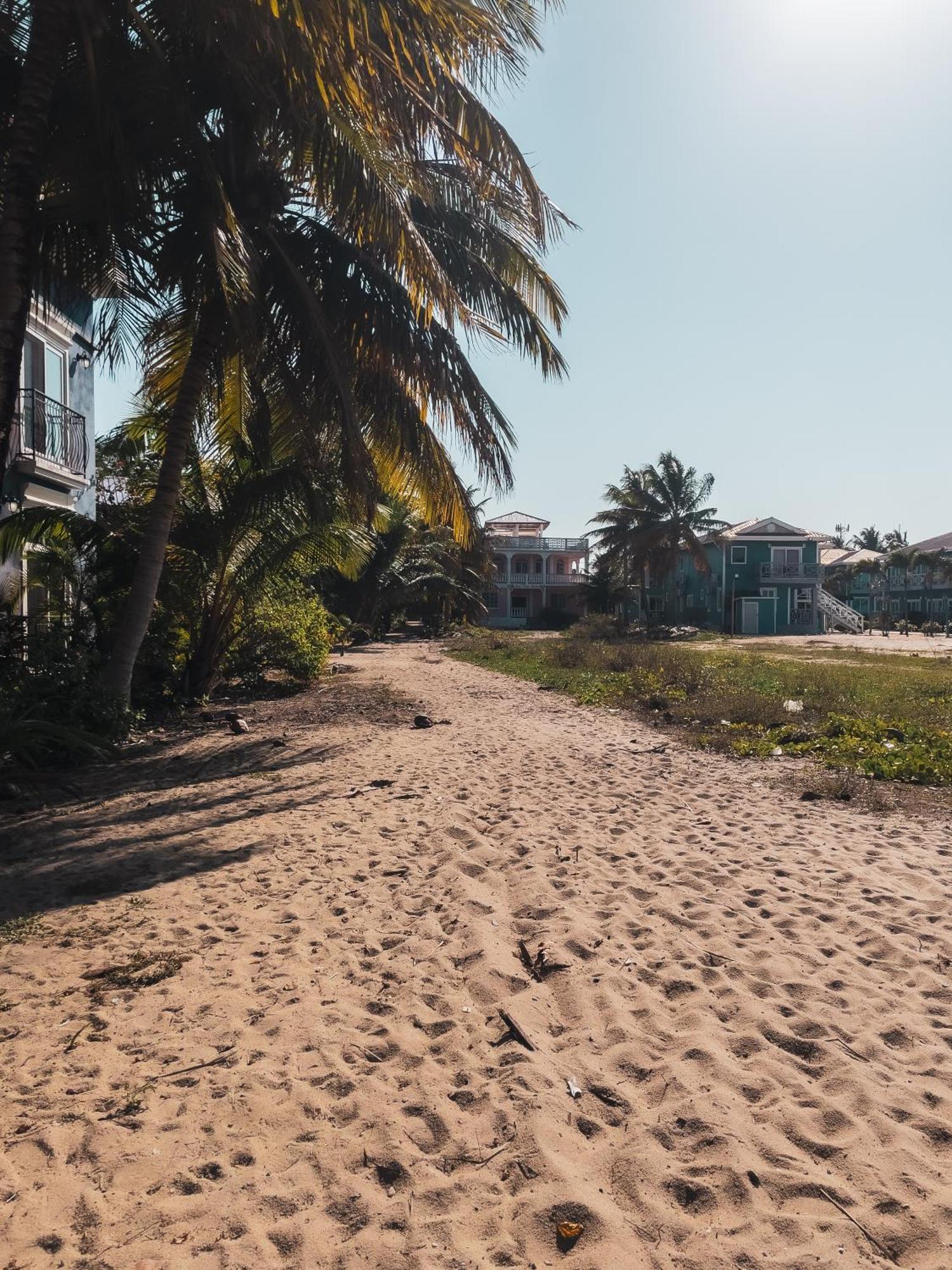 Anda Di Hows Hostel Placencia Ngoại thất bức ảnh