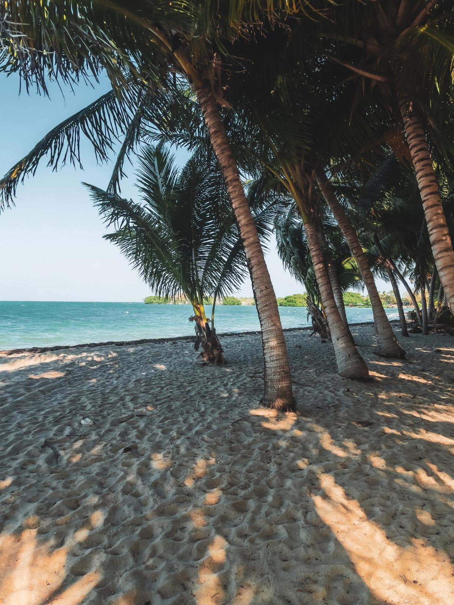 Anda Di Hows Hostel Placencia Ngoại thất bức ảnh