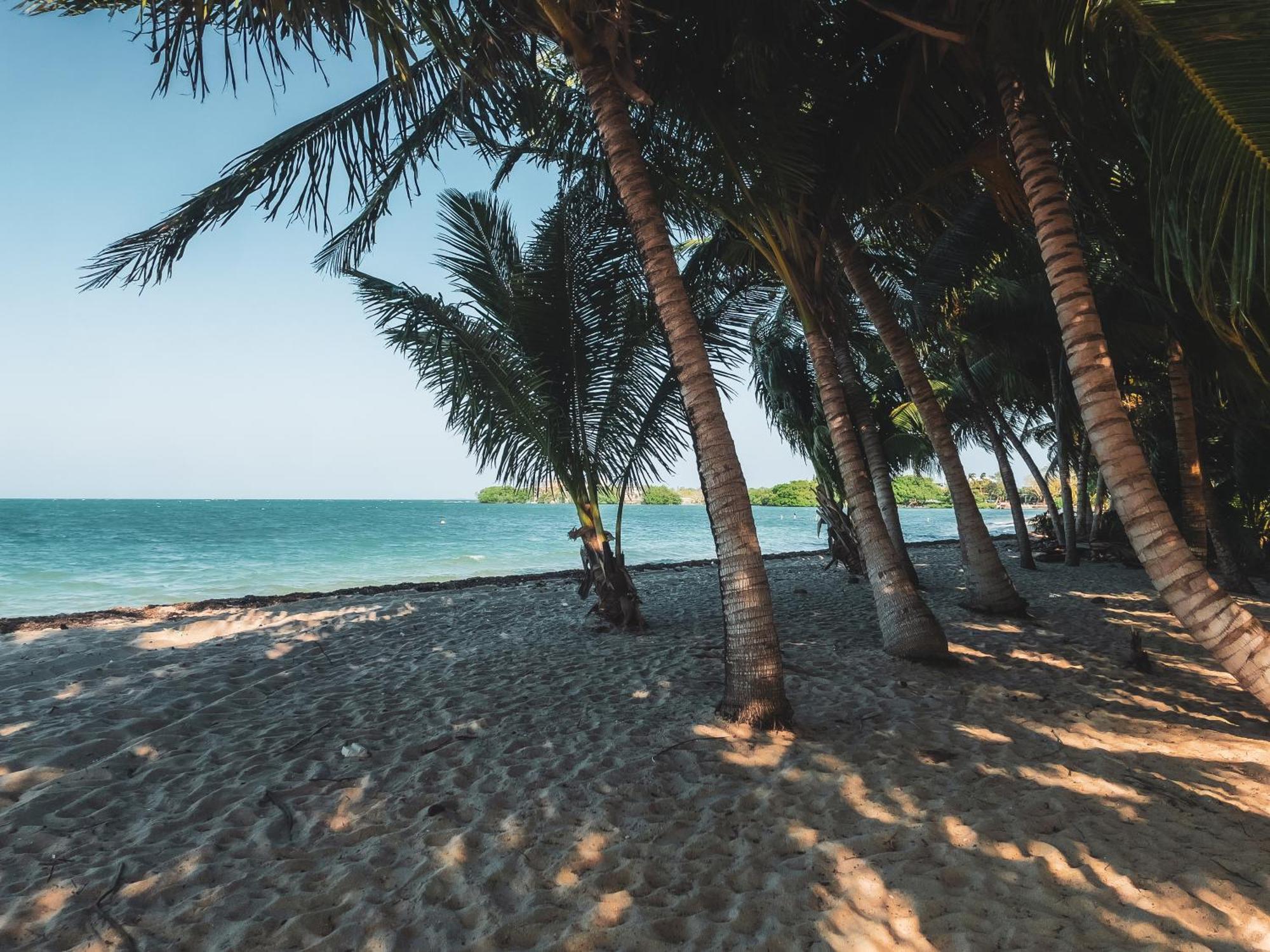 Anda Di Hows Hostel Placencia Ngoại thất bức ảnh