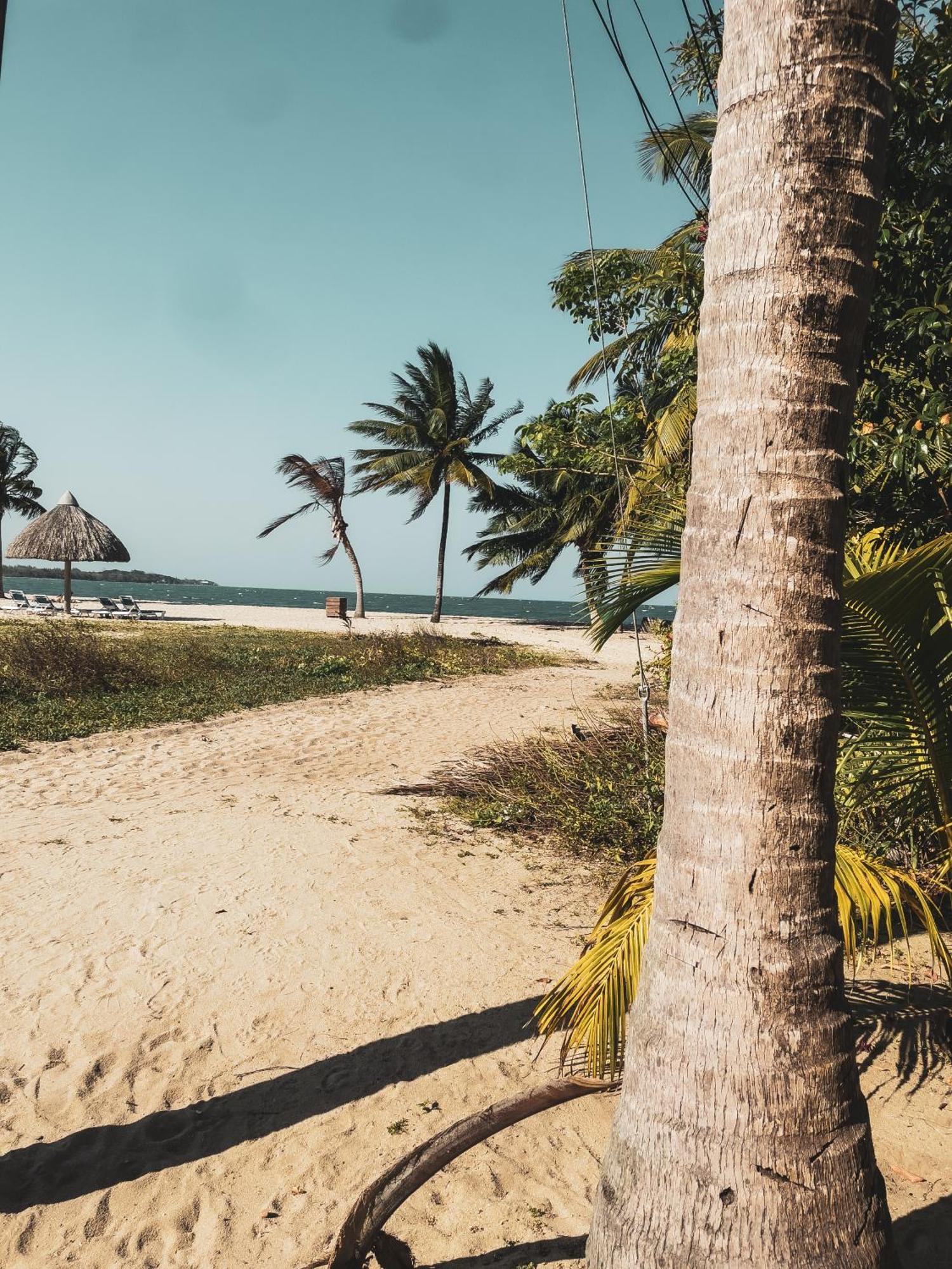 Anda Di Hows Hostel Placencia Ngoại thất bức ảnh