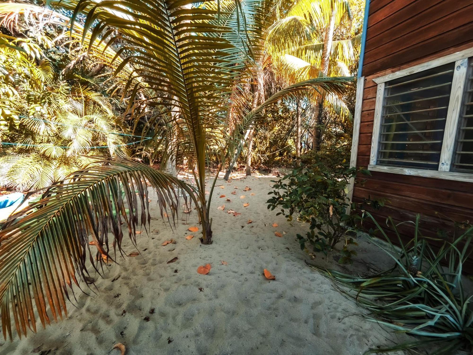 Anda Di Hows Hostel Placencia Ngoại thất bức ảnh