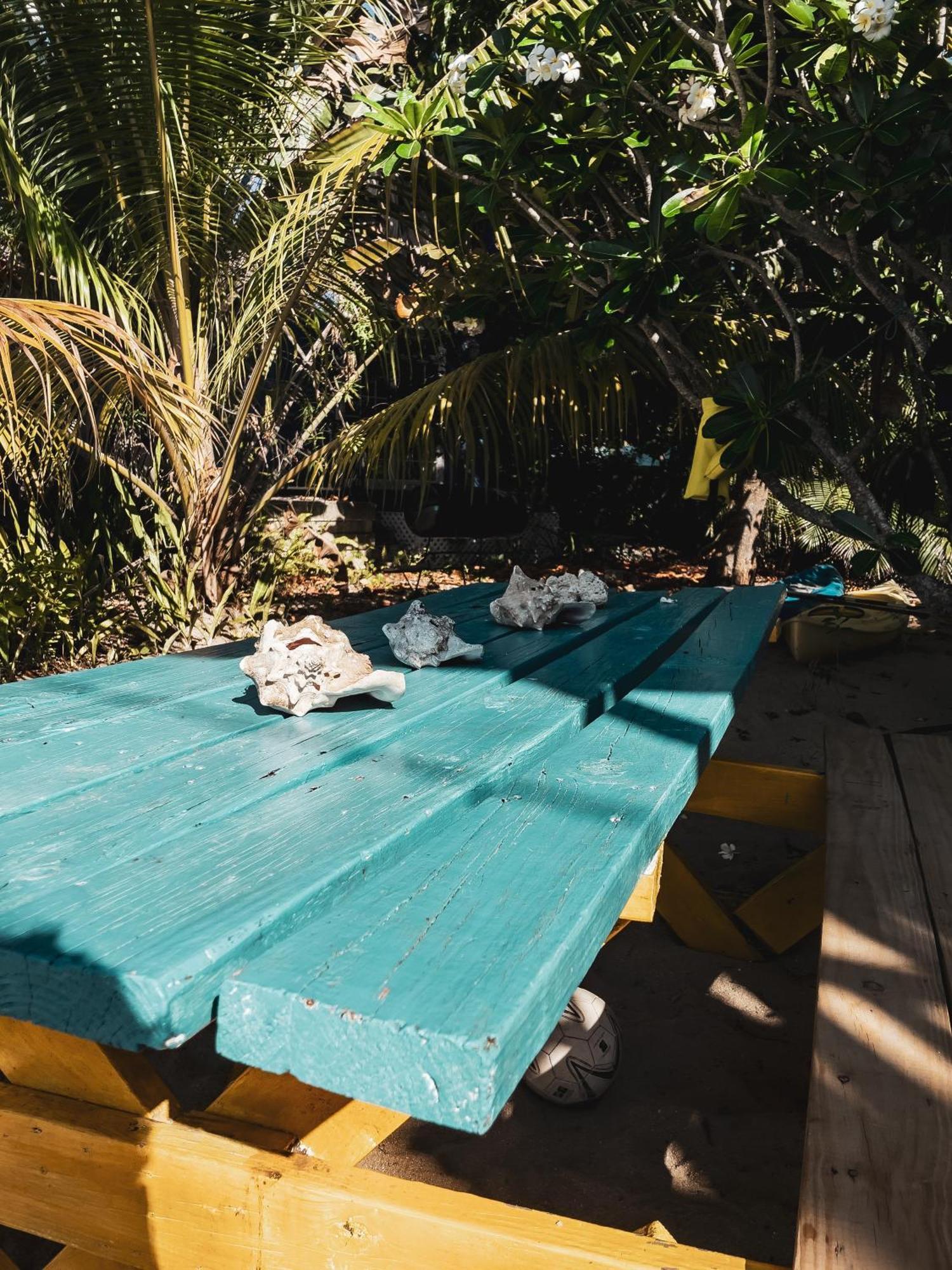 Anda Di Hows Hostel Placencia Ngoại thất bức ảnh