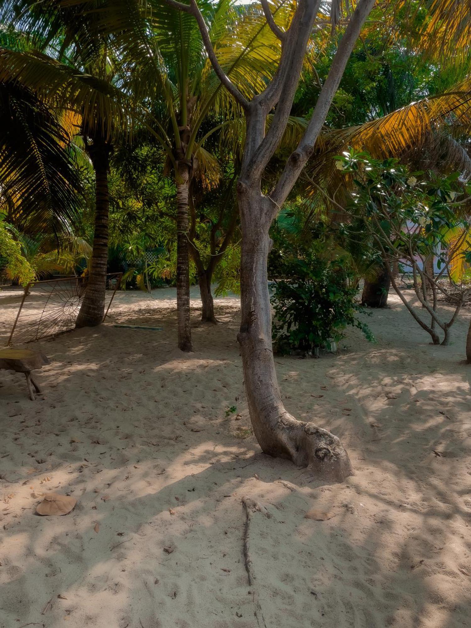 Anda Di Hows Hostel Placencia Ngoại thất bức ảnh