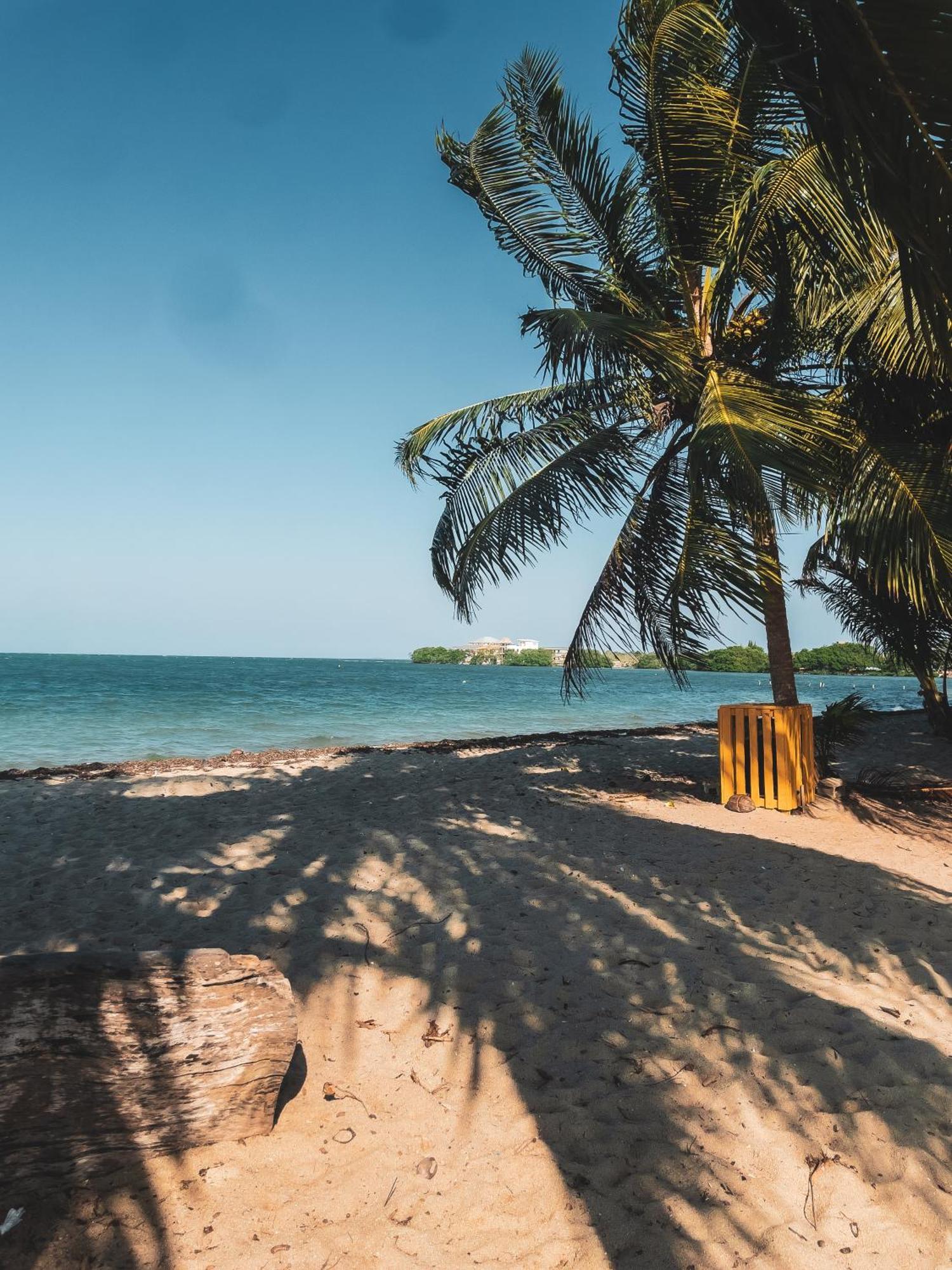Anda Di Hows Hostel Placencia Ngoại thất bức ảnh