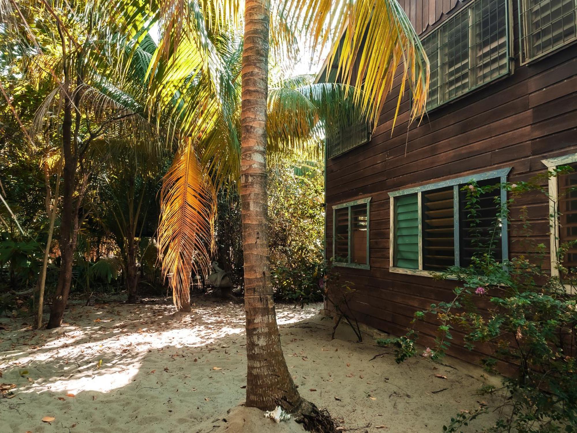 Anda Di Hows Hostel Placencia Ngoại thất bức ảnh