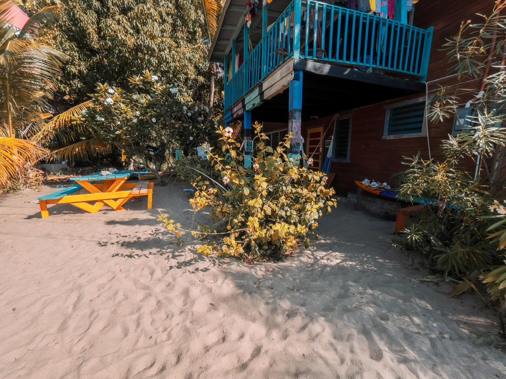 Anda Di Hows Hostel Placencia Ngoại thất bức ảnh
