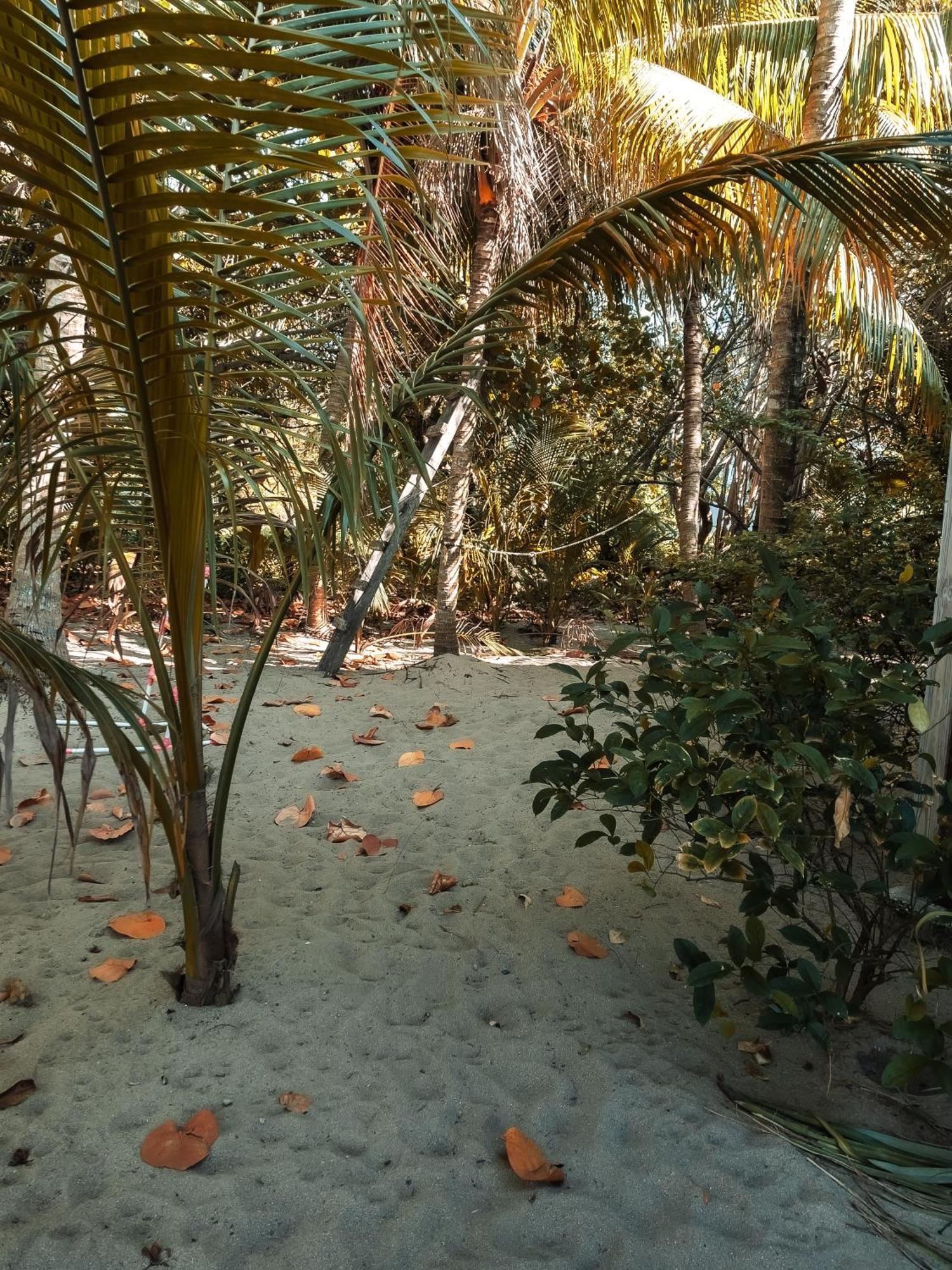 Anda Di Hows Hostel Placencia Ngoại thất bức ảnh