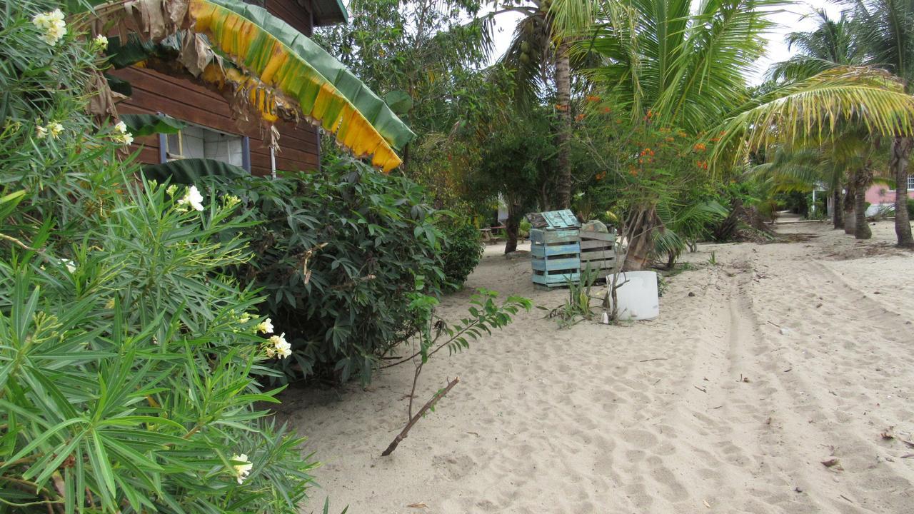 Anda Di Hows Hostel Placencia Ngoại thất bức ảnh