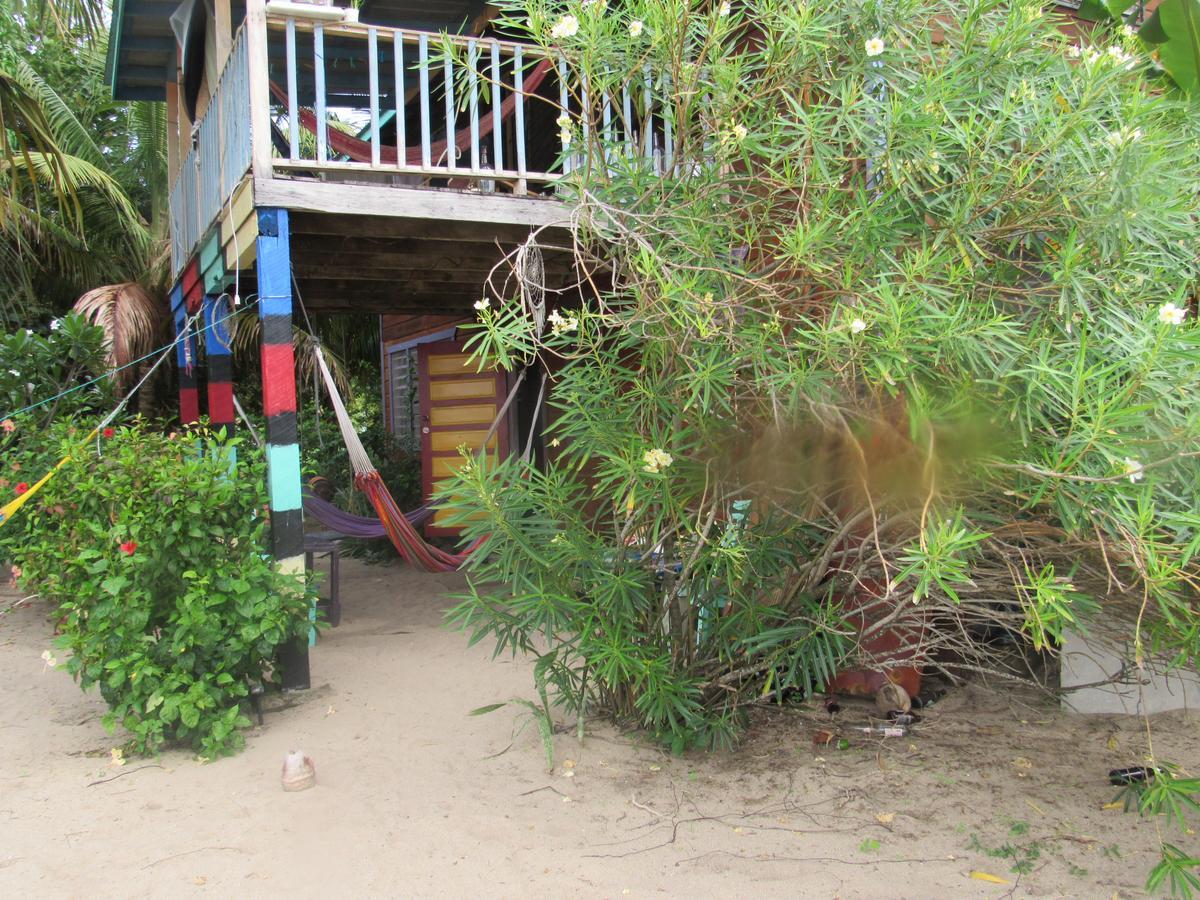 Anda Di Hows Hostel Placencia Ngoại thất bức ảnh