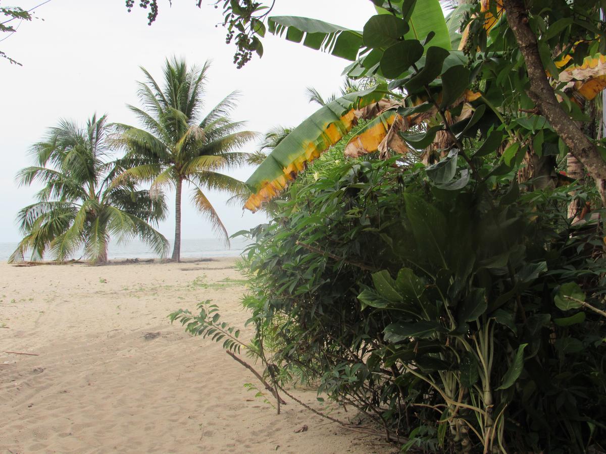 Anda Di Hows Hostel Placencia Ngoại thất bức ảnh